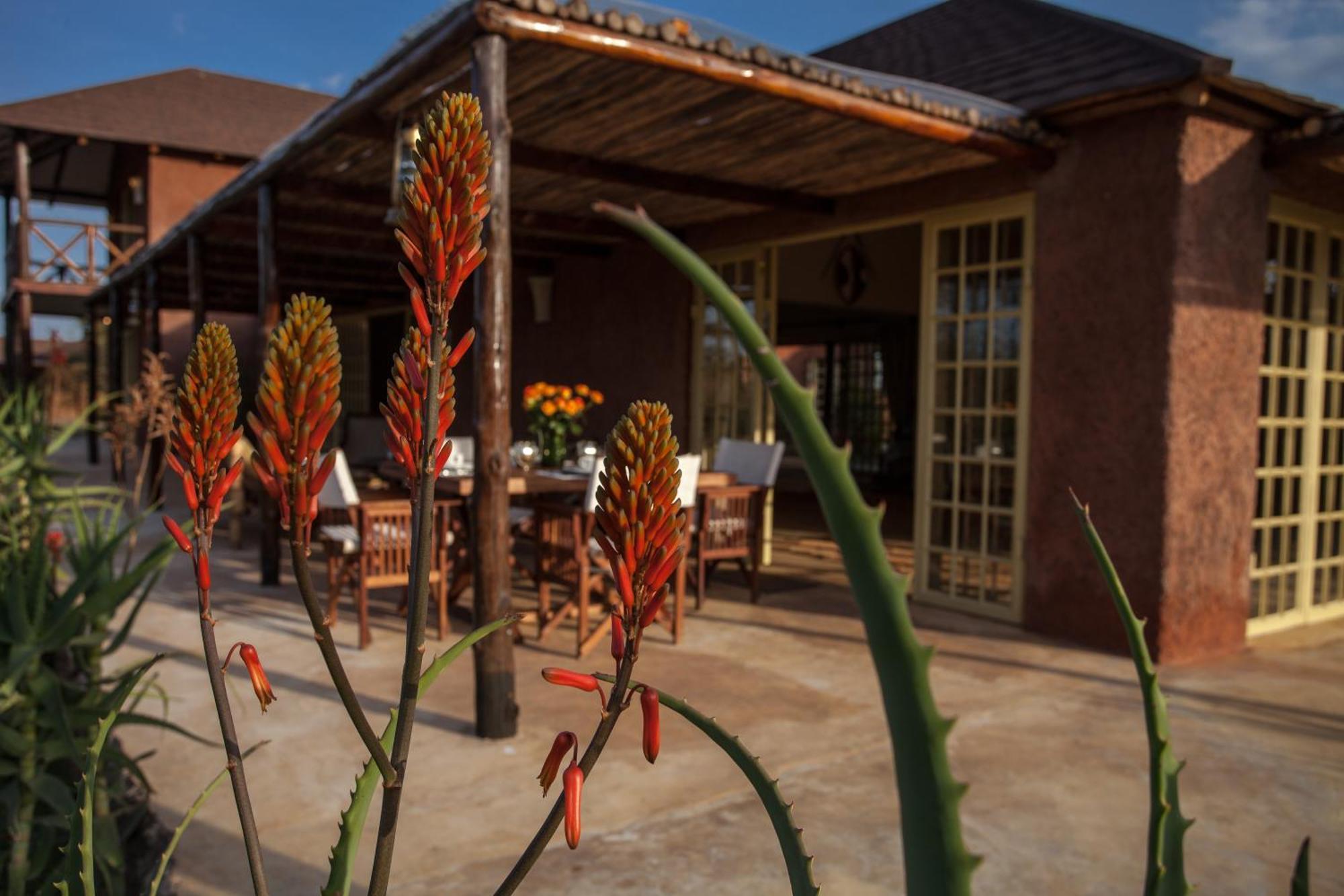 Kili Villa Kilimanjaro Luxury Retreat Arusha Cameră foto